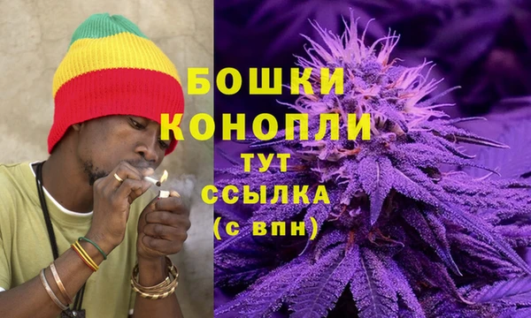 дурь Верея