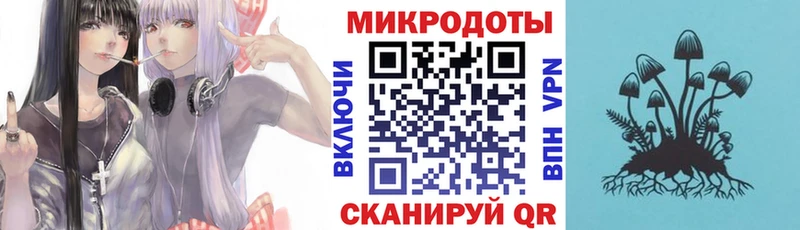 Галлюциногенные грибы прущие грибы  Купить где  Домодедово 